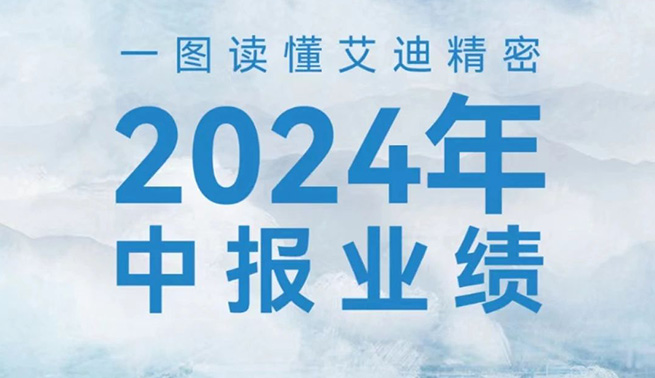 稳健增添！一图读懂Welcome购彩国际细密2024年中报业绩